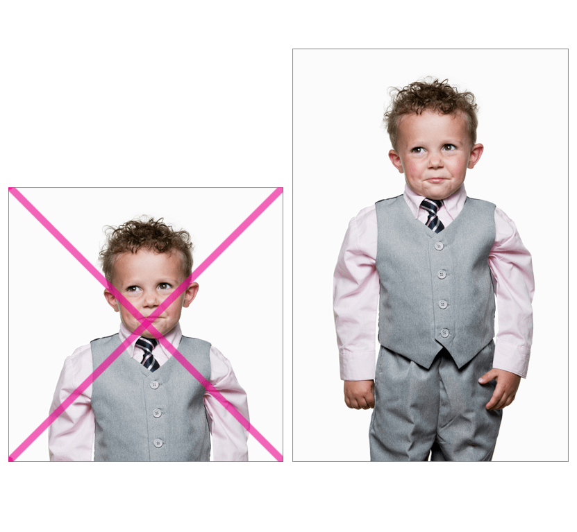 Torten-Foto Beispiel Torten-Foto Beispiel