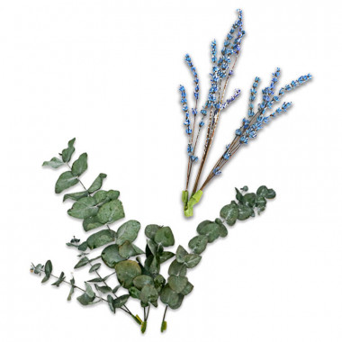 Trockenblumen Deko-Set - Eukalyptus und Lavendel lila-blau